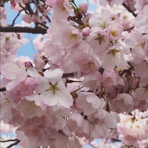 Meet your Posher, Vi